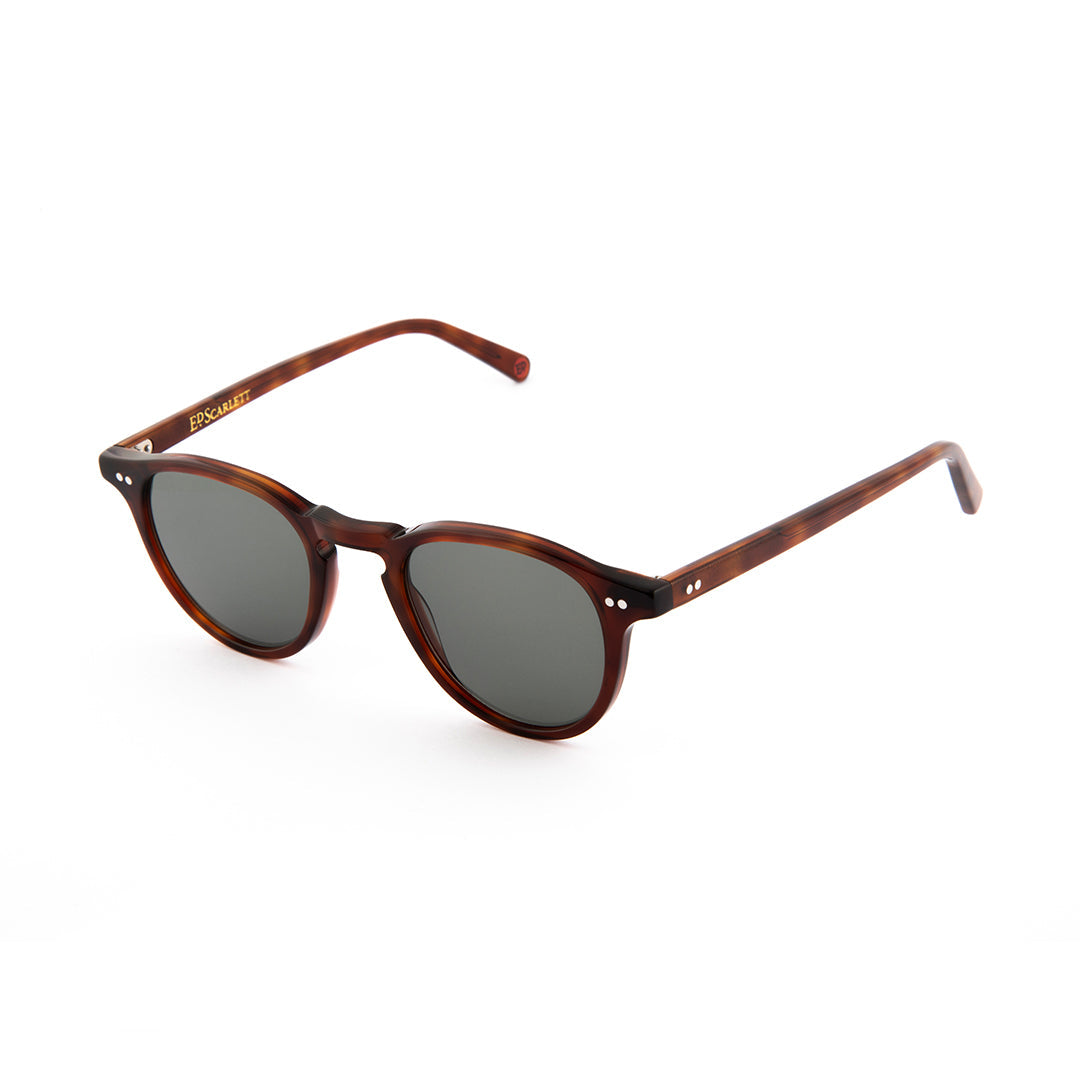 Broadwick Sunglasses in Havana Tortoiseshell