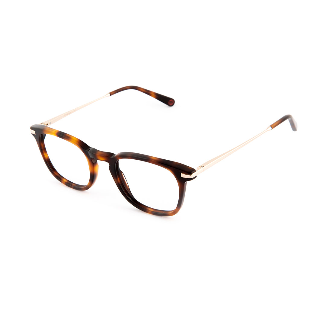D'Arblay Spectacles in Havana Tortoiseshell