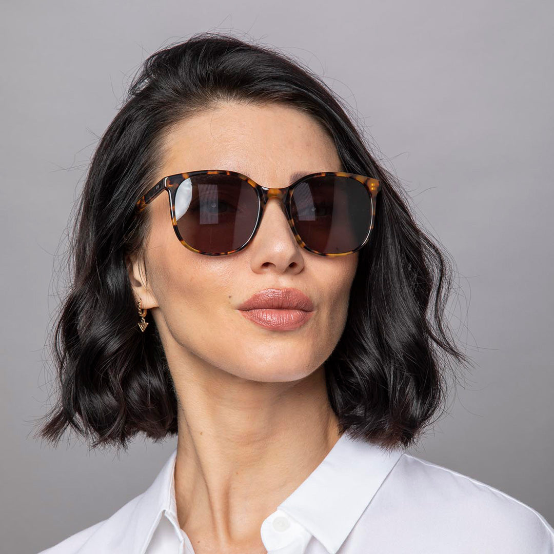 Newburgh Sunglasses in Chestnut Tortoiseshell