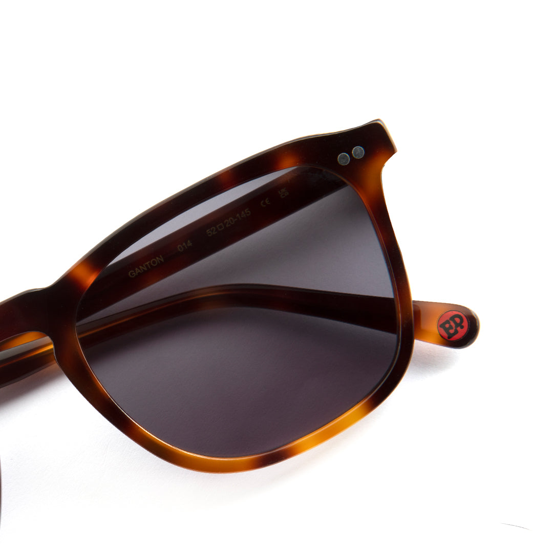 Ganton Sunglasses in Havana Tortoiseshell