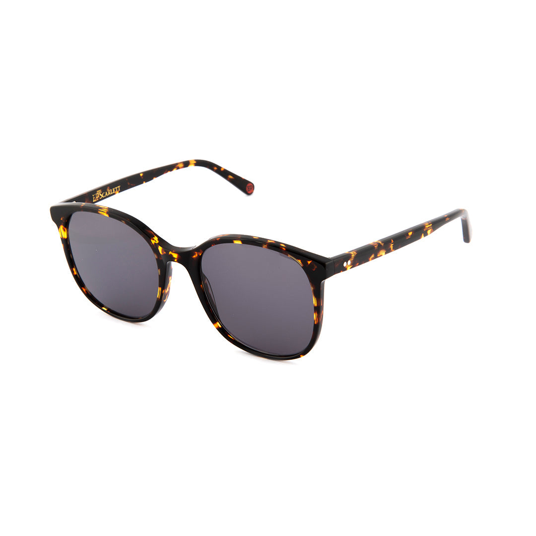 Newburgh Sunglasses in Vintage Tortoiseshell