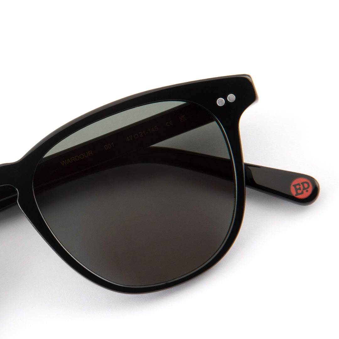 Wardour Sunglasses in Black