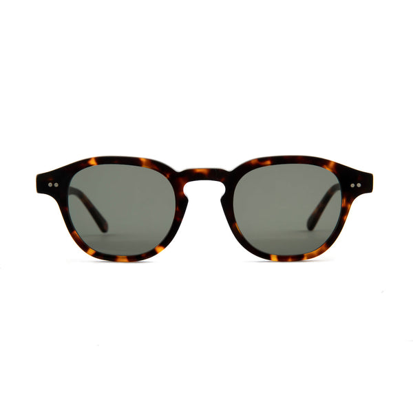 Argyll Sunglasses in Vintage Tortoiseshell