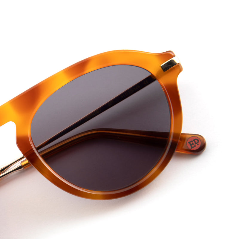 Carnaby Sunglasses in Caramel Tortoiseshell