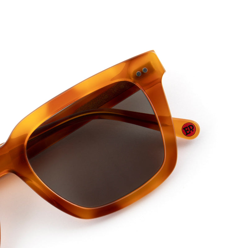 Compton Sunglasses in Caramel Tortoiseshell