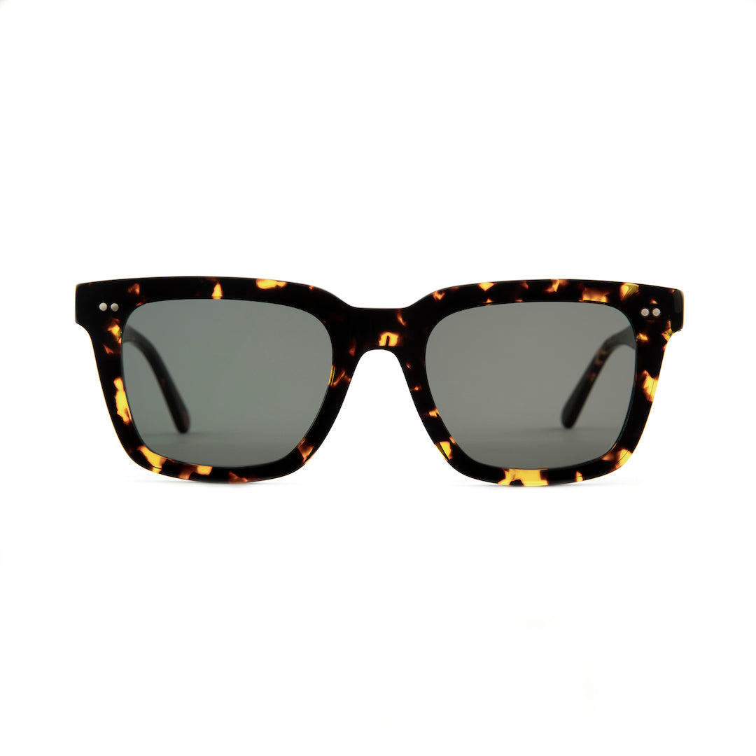 Compton Sunglasses in Vintage Tortoiseshell