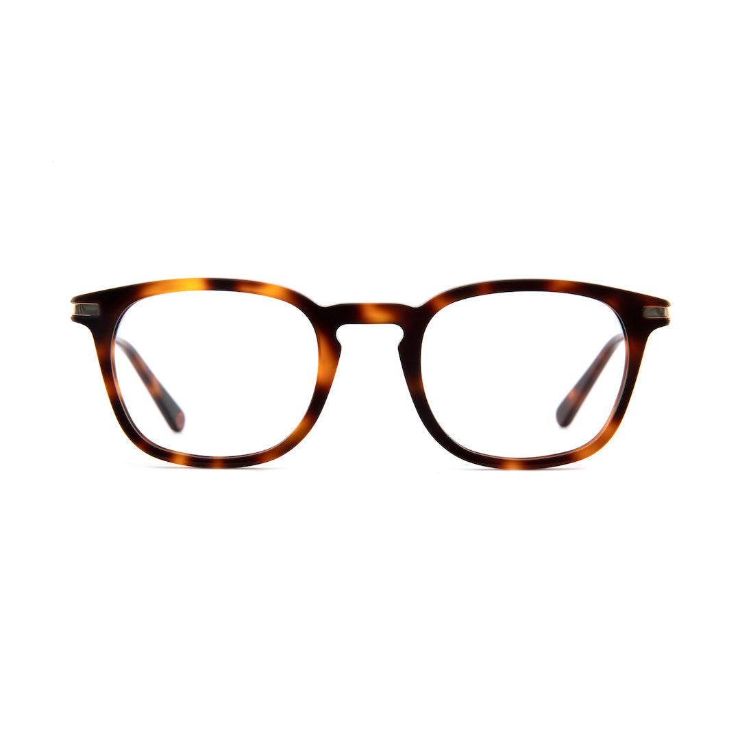 D'Arblay Spectacles in Havana Tortoiseshell