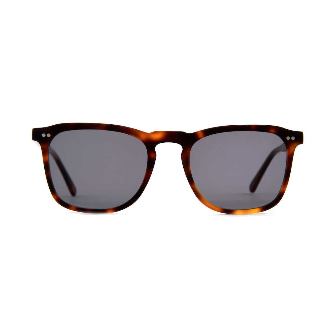 Ganton Sunglasses in Havana Tortoiseshell