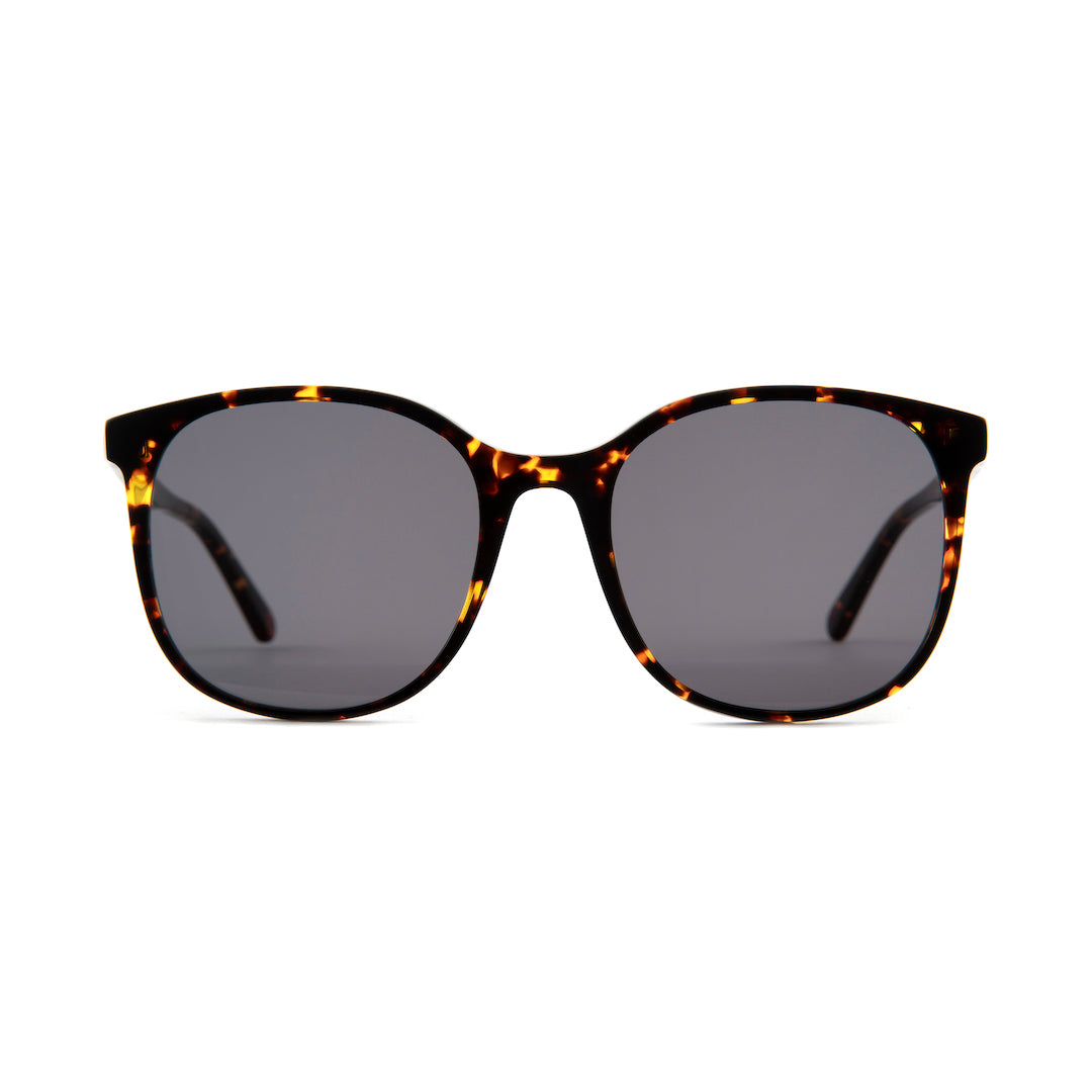 Newburgh Sunglasses in Vintage Tortoiseshell