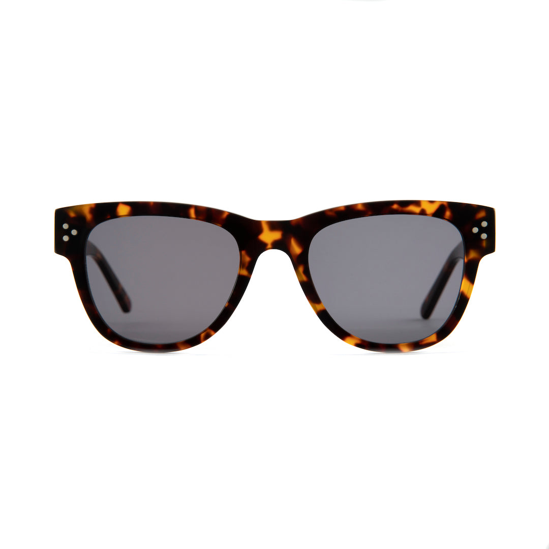 Portland Sunglasses in Havana Tortoiseshell