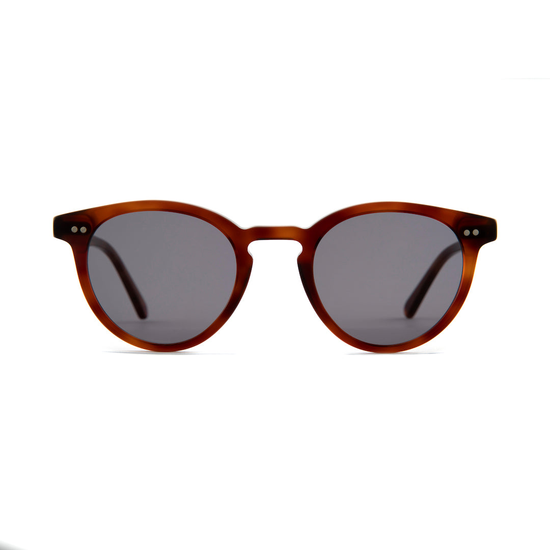 Soho Sunglasses in Havana Tortoiseshell